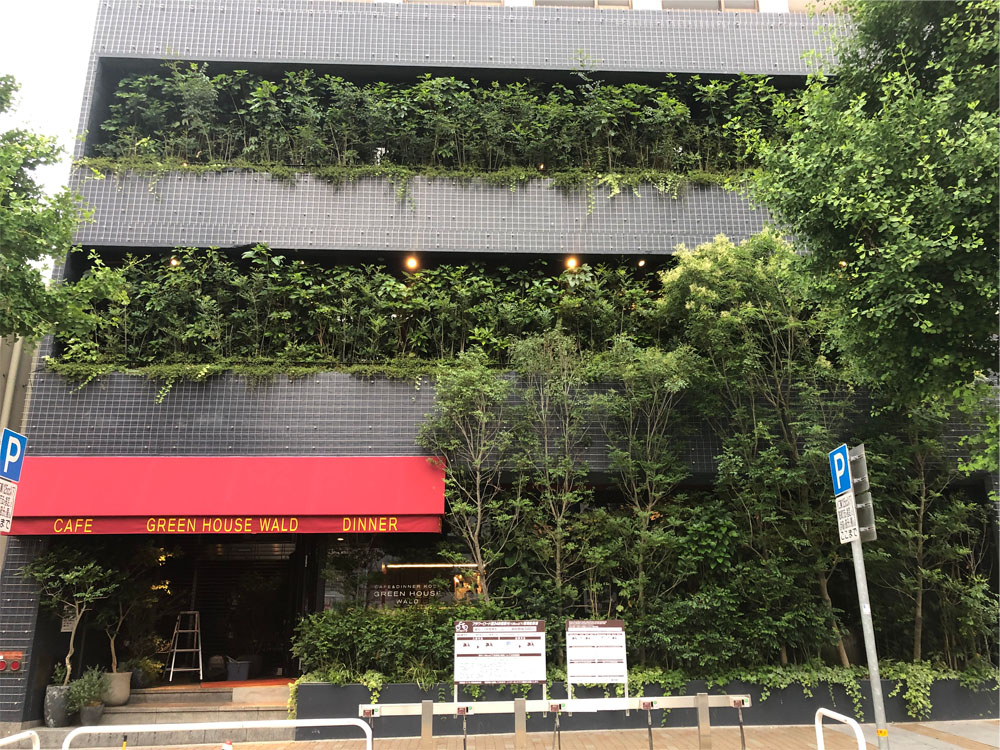 GREEN HOUSE Wald